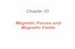 Chapter 20humanic/p1201lecture9.pdf · Chapter 20 Magnetic Forces and ... Conceptual Example: A Velocity Selector ... The Mass Spectrometer The mass spectrum of naturally