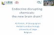 Endocrine disrupting chemicals: the new braindrain? · Endocrine disrupting chemicals: the new braindrain? AS Parent ... ²Effects of low dose mixtures and different hazards. Early