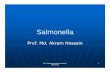 Salmonella by akram.ppt - mmc.gov.bd file/Salmonella by akram.pdffrom faeces of Hog cholera in 1885.. ... Clinical infections caused by salmonella varies with different species or