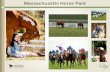 Massachusetts Horse Park - New England HBPAnewenglandhbpa.com/wp-content/uploads/2017/05/Mass_HP_MasterPlan...Massachusetts Thoroughbred Breeders, Dr. Anthony Zizza ... Living History