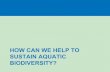HOW CAN WE HELP TO SUSTAIN AQUATIC BIODIVERSITY? ·  · 2015-10-11hundreds of harmful invasive species threatens aquatic biodiversity. ... Taking an Ecosystem Approach to Sustaining