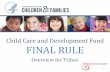 Child Care and Development Fund FINAL RULE · Child Care and Development Fund FINAL RULE Overview for Tribes 1