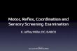 Motor, Reflex, Coordination and Sensory Screening …c.ymcdn.com/sites/ Reflex, Coordination and Sensory Screening Examination K. Jeffrey Miller, DC, DABCO 2002-2012 K Jeffrey Miller