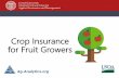 Crop Insurance for Fruit Growers - Cornell University Whole Farm Revenue Protection USDA/FSA: NAP, Non-Insured Crop Disaster Assistance ... Crop insurance information and web tools,