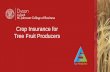 Crop Insurance for Tree Fruit Producers - Cornell University · Crop Insurance for Tree Fruit Producers. 2 Dyson | Cornell SC Johnson College of Business ... • The WFRP portion