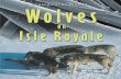 Ecological Studies of Wolves on Isle Royalechance/teaching_aids/books... · Ecological Studies of Wolves on Isle Royale ... Andy Miller, Trevor Peterson, and ... visible conflicts
