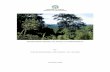 FRAMEOWRK REPORT ON ANGOLA’S BIODIVERSITY … · frameowrk report on angola’s biodiversity by: soki kuedikuenda and miguel. n.g. xavier luanda, 2009 . 1 techincal team: ... dendromus
