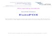 EuroFOX Aviation EuroFOXdenbig5/mt-content/uploads/2017/09/4.pdf · EUROFOX AVIATION, The hangar, Wanshurstgreen Farm, Battle lane, Marden, Kent, TN12 9DF EuroFOX Aviation is a trading