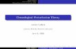Cosmological Perturbation Theory - UC Berkeley …w.astro.berkeley.edu/~mwhite/teachdir/mini_pt.pdf · Introduction Perturbation Theory ... Explicit formulas and diagrammatic methods