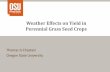 Weather Effects on Yield in Perennial Grass Seed Cropsblogs.oregonstate.edu/seedproduction/files/2015/01/Weather-effects... · Weather Effects on Yield in Perennial Grass Seed Crops