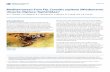 Mediterranean Fruit Fly, Ceratitis capitata (Wiedemann ... · Mediterranean Fruit Fly, Ceratitis capitata (Wiedemann) (Insecta: Diptera: Tephritidae) 1 ... tions in the same areas