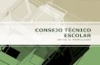 CONSEJO TÉCNICO ESCOLAR - edu.jalisco.gob.mxedu.jalisco.gob.mx/cepse/sites/edu.jalisco.gob.mx.cepse/files/... · educativo, métodos e instrumentos de evaluación, diseño de espacios,