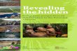 Revealing the hidden - rightsanddeforestation.org · the hidden. 2 dedicated to the ... Bagua and all the other struggles of amazonian indigenous peoples who have ... contributed