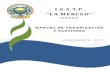 MANUAL DE ORGANIZACIÓN Y FUNCIONES DEL ISTPiestplamerced.edu.pe/wp-content/uploads/2017/12/MOF-2017-IESTP-.pdfANEXO (ORGANIGRAMA FUNCIONAL DEL IESTP “LA MERCED ... Curricular Básico