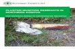 CLUSTER MUNITION REMNANTS IN NORTHERN KOSOVO · Cluster Munition Remnants in Northern Kosovo: ... NPA Project Team: ... Questionnaire for Assessment of Contamination with Cluster