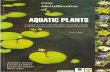 Easy identification of aquatic plants - dwa.gov.za · EASY IDENTIFICATION OF AQUATIC PLANTS by ... Water plants -Free floating 6 ... photo ecology cytology anatomy seed .. ./ ...
