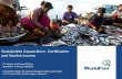 Sustainable Aquaculture, Certification and Market Access · Sustainable Aquaculture, Certification and Market Access ... environmental outcomes of aquaculture ... which will have