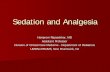 Sedation and Analgesia - Robert Wood Johnson Medical …rwjms.rutgers.edu/.../residency/documents/sedationandanalgesia.pdf · 3. Sedative analgesia (eg, opioids, nitrous oxide, ketamine)