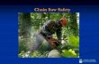 Chain Saw Safety - hawaii.govlabor.hawaii.gov/.../12/Chain-Saw-Safety-Eckert-HiOSH-March-2012.pdf · Chain Saw Safety Chain saws very common tool for tree work ... • Trigger or
