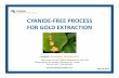 CYANIDE-FREE PROCESS FOR GOLD EXTRACTION · CYANIDE-FREE PROCESS FOR GOLD EXTRACTION DUNDEE SUSTAINABLE TECHNOLOGIES 3700 rue du Lac Noir Thetford Mines, QC, Canada 418-423-7247 600