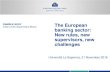 The European banking sector: New rules, new … · New rules, new supervisors, new challenges ... Weaknesses in supervision ... Improving decision-making and delegation ...