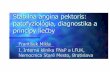 Stabilná angina pektoris: patofyziológia, diagnostika a ... · Stabilná angina pektoris: patofyziológia, diagnostika a princípy liečby František Mikla I. Interná klinika FNsP