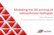 Modelling the 3D printing of nanocellulose hydrogels of the future/3D... · Modelling the 3D printing of nanocellulose hydrogels Tatu Pinomaa VTT Technical Research Centre of Finland