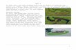 Unit 4 Student Worksheets · Web viewUnit 4 In this unit, you will examine one river in detail to identify how floods can impact nearby communities. Floods are not the only ways in