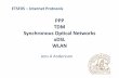 PPP TDM Synchronous Optical Networks xDSL WLAN · PPP TDM Synchronous Optical Networks xDSL WLAN ... Synchronous Optical Networks ... •Synchronous Optical Network ...