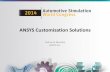 ANSYS Customization Solutions Customization Solutions Padmesh Mandloi ... • Streamlined UI to guide user through complete ... 2014 Automotive Simulation World Congress 13 . Extension