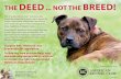The DeeD No T The BreeD! - CQRC Engage not breed rev 6... · The DeeD... No T The BreeD! ... dogs, regardless of breed or type. Breed-specific legislation hurts responsible dog owners,