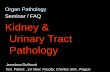 Organ Pathology Seminar / FAQ Kidney & Urinary …pau.lf1.cuni.cz/file/6413/urol-reduk-exam.pdfOrgan Pathology Seminar / FAQ Kidney & Urinary Tract Pathology Jaroslava Dušková Inst.