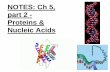 Proteins and Nucleic Acids - West Linn · NOTES: Ch 5, part 2 - Proteins & Nucleic Acids. 5.4 - Proteins have many structures, resulting in a wide range of functions ... Proteins