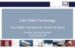 LNG FSRU Technology - Offshore Laboffshorelab.org/documents/Types_of_Arrangements_for_FSRU... · LNG FSRU Advantages Advantages of converting an LNGC into LNG FSRU over a onshore