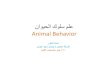 ٮاٷٽح٨ا ٢ٷ٩ؼ ٫٩ٔ Animal Behavior - KSU Facultyfac.ksu.edu.sa/sites/default/files/lm_slwk_lhywn_pdfff.pdf · ٮاٷٽح٨ا ٢ٷ٩ؼ ٫٩ٔ ْرٜأ لاثملا ليبس
