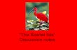 “The Scarlet Ibis” Discussion notes - Quia · Imagery using figurative language •“ ... the scarlet ibis as the symbol as opposed to another bird? •With what is red usually