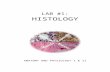 HISTOLOGY - Weeblymsfulmer16-17.weebly.com/uploads/5/8/0…  · Web view · 2016-09-19LAB #1: HISTOLOGY ANATOMY AND PHYSIOLOGY I & II. PART A: EPITHELIAL TISSUE . Epithelial tissues.