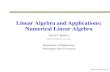 Linear Algebra and Applications: Numerical Linear Algebra ·  · 2008-07-06Linear Algebra and Applications: Numerical Linear Algebra ... Linear Algebra, SIAM, 1997. James W. Demmel,