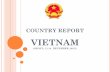 COUNTRY REPORT - siteresources.worldbank.orgsiteresources.worldbank.org/EDUCATION/Resources/GS2012_Vietnam… · Develop ICT industry, ... -Teacher training in harnessing ICT in education