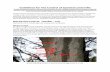 Guidelines for the Control of Spotted Lanternfly indicating location of spotted lanternfly egg masses on a tree Guidelines for the Control of Spotted Lanternfly THE GUIDELINES BELOW