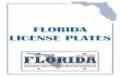Florida LIcense Plates - 02-2014 · Apportioned “IRP” Fleet Heavy Truck (Dual Plates) ... Combat Infantry Badge ... Florida LIcense Plates - 02-2014.pmd