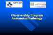 Observership Program Anatomical Pathology - …€¦ · Observership Program. Anatomical Pathology • Pathology is the study and ... • • A forensic autopsy forensic autopsy is
