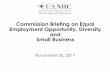 Commission Briefing on Equal Employment Opportunity, Diversity and Small … ·  · 2017-11-21Commission Briefing on Equal Employment Opportunity, Diversity and Small Business November