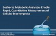 Seahorse Metabolic Analyzers Enable Rapid, Quantitative ... · Seahorse Metabolic Analyzers Enable Rapid, Quantitative Measurement of Cellular Bioenergetics . David Ferrick, PhD .