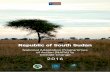 Republic of South Sudan - UNEP Sudan...5 The NAPA process also identified other guiding principles for adaptation projects in South Sudan, including that: • Adaptation projects should