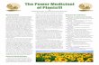 The Power Medicinal of Plants!!! - Mecklenburg Audubon · The Power Medicinal of Plants!!! by Mandy Smith, Environmental Educator Latta Plantation Nature Center Medicinal Plants ...