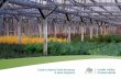 Guide to Native Plant Nurseries & Seed Suppliers · Native Plant Nurseries & Seed Suppliers CVC encourages landowners and residents to plant native trees, shrubs, wildflowers and