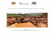 The Problems of Artisanal Gold Mining in Manica Provincecmsdata.iucn.org/downloads/gold_mining_in_mozambique.pdf · Introduction The artisanal and small scale mining is a generic