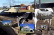 FAUQUIER COUNTY’S DAIRY FARMS - Virginia … COUNTY’S DAIRY FARMS Planning and Layout of Dairy Farms A conveniently located and a well laid out dairy farm are important cost- and