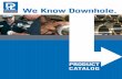 We Know Downhole. - dloiltools.comL Oil Tools designs, manufactures, and assembles downhole equipment for customers in both domestic and international markets. …